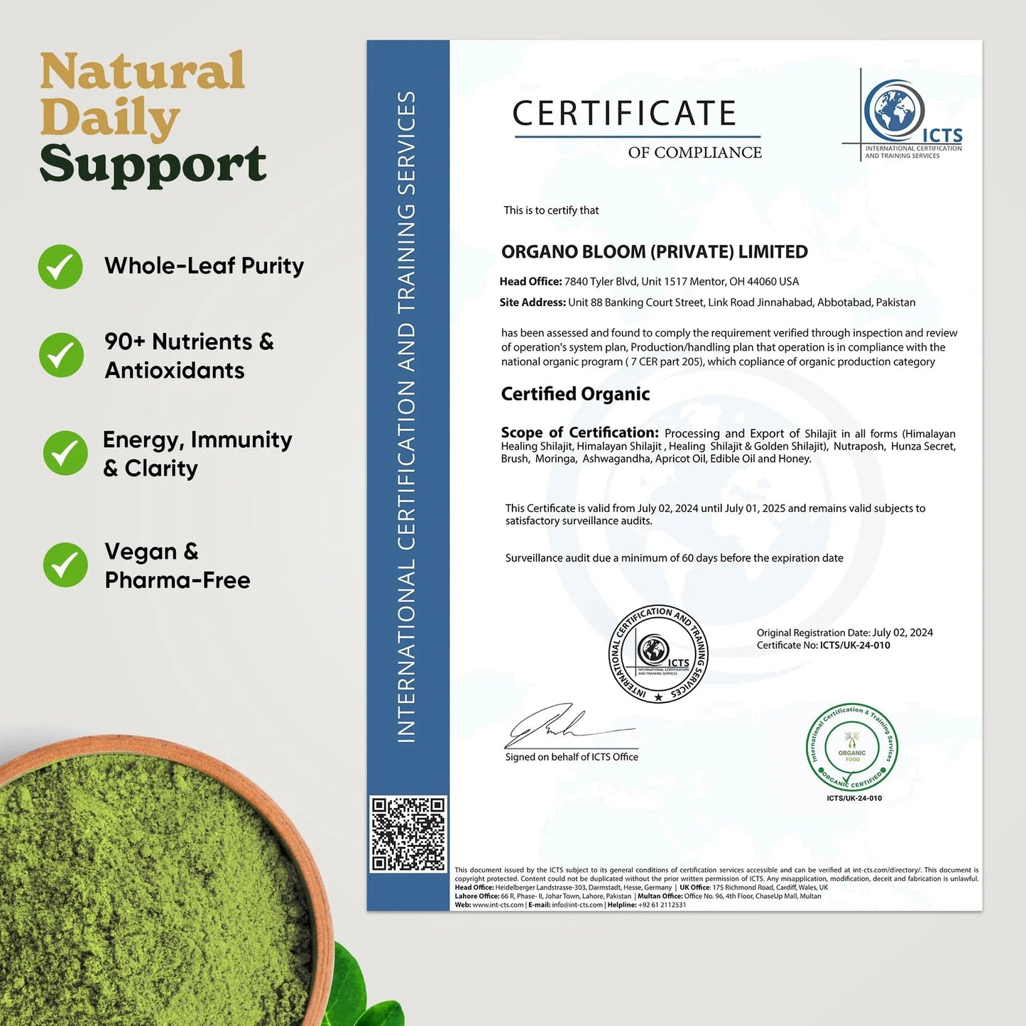 Moringa supplement for wellness