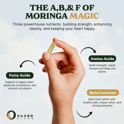 Moringa supplement for health