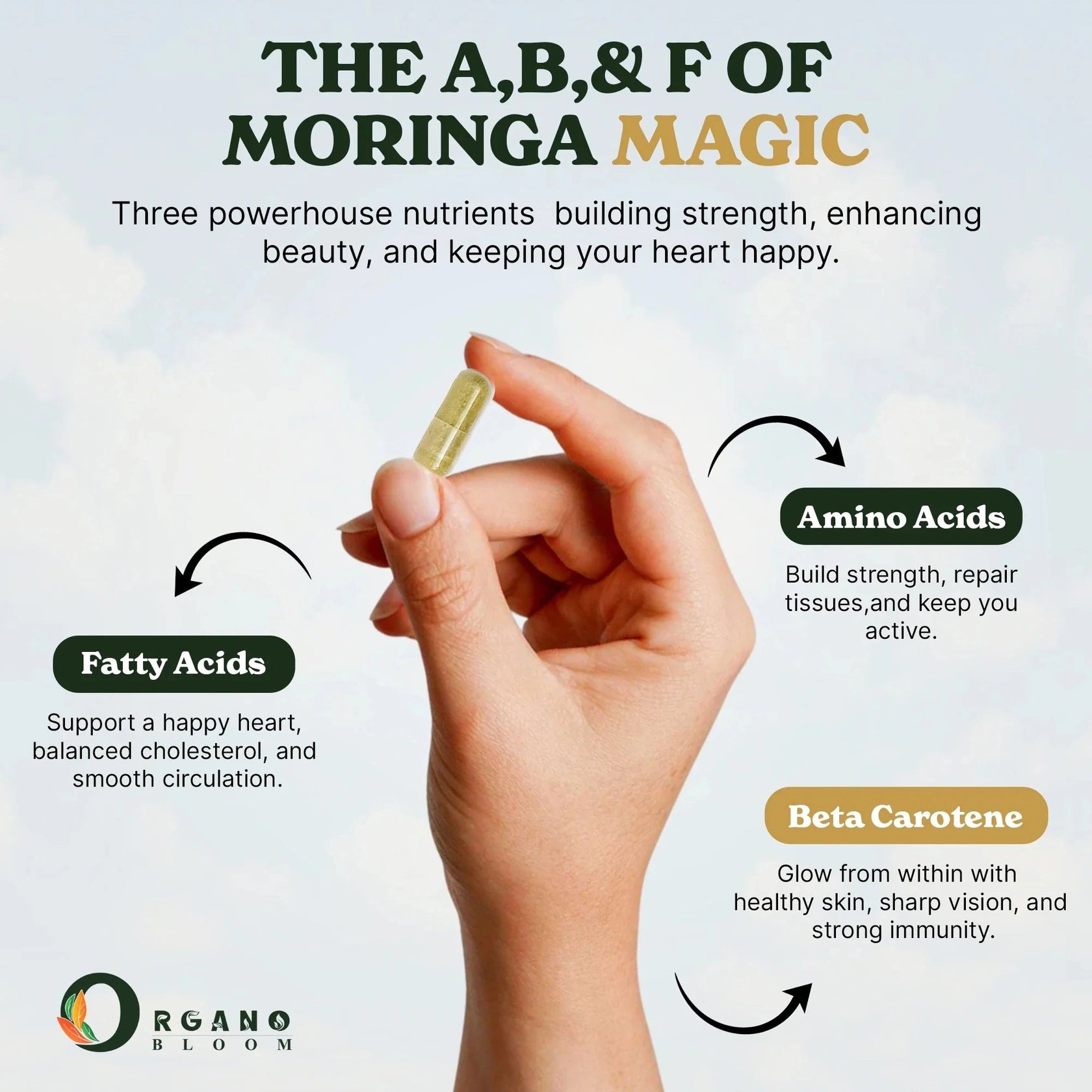 Moringa supplement for wellness