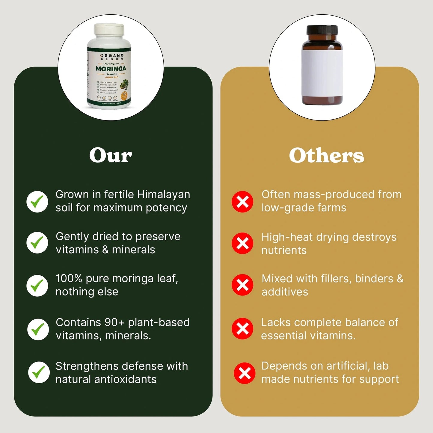 Moringa supplement for wellness