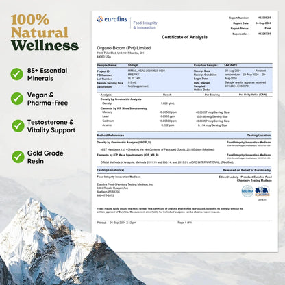 Original Shilajit resin supplement