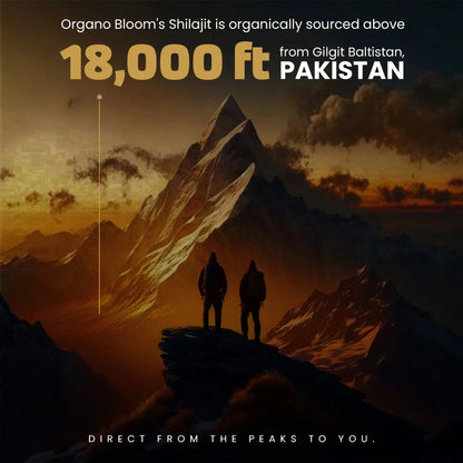 Himalayan Shilajit resin supplement