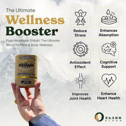 Original Shilajit resin supplement